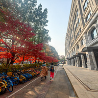 ĺʫ续ΪһĨŨҵɫʣ