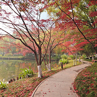 Ǯ���³�ɭ�ֹ�԰һ��