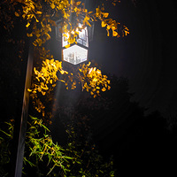 ҹĻʹҶڵƹḧ˸ŽɫΣ