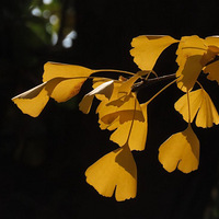 ʱ���̽�  ��ʯɽ�������Ӽ�