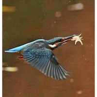 �Ի�����Ĵ���