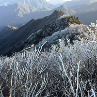 ȥ�ٰ�̫�Ӽ�ͽ��