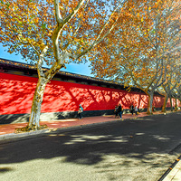 ��Ǿ�ͷҲװ���¡����ٹ������ɫ�ĺ�ǽ����Ӱ��