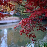 ���ݵĺ�Ҷ������һ������