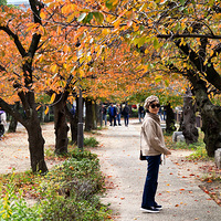 ������Ũ