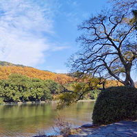 �ֻ�����