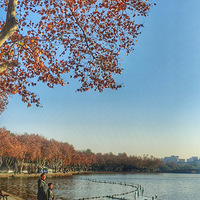 ����������ɽ��