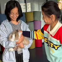 ���������Ż�԰Сѧ401��Ϊ���̲衱������������ʽ