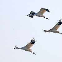 ����һ���ص㱣������׺�һ���ӷ������Ϻ�