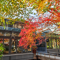 ������صĺ�㿪�����ޣ�