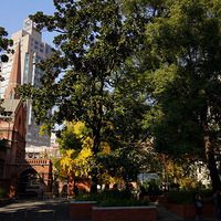 ��Ӱ����2512 �Ž�·ʥ��һ����