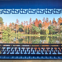 ��Ժ��ɶ�����չ�ֳ�Ũ�������⣡