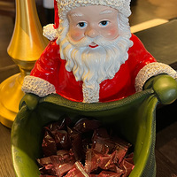 ���������й��¡�Saturnalia,���޿�ʼ