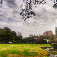 �߹�����