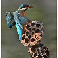 ������ͷ�ϵĴ���