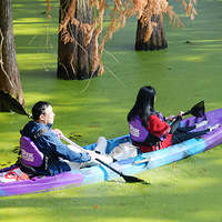 ��ɽ��ˮ��ɭ��