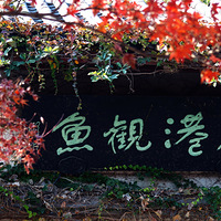 ������ɫ