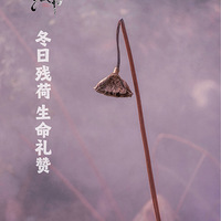 ���ղк���������