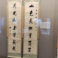 �Ͼ�������