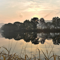 ������ء�