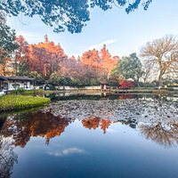 ��������˽��ׯ԰-��ׯ���붬�˷����Ȼ������������12��16�գ�