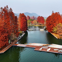 ����ɼ����