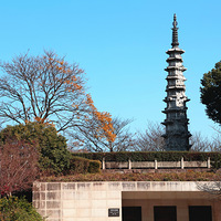 ������԰