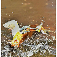 ץ����Ĵ���