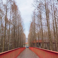 �ֻ�����