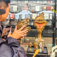 �й���Ժ��ѧ��������������ַǷ���