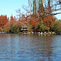 ���Ų�����Ư��