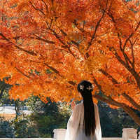 ������ʫ·�����������