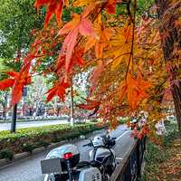 ��������лĻ����÷��Ȼ�����飡