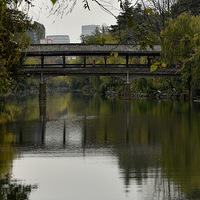 ���Ӿ�ɫ��