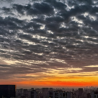 ���ź���??�ع�΢¶??��