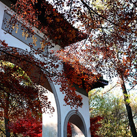 ����·������