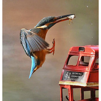 �쳵�ϵĴ���