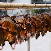 �������ˣ�������ҹ��Ԥ���𱬣����پƵ��Ƴ���ʱ�ξͲ�