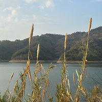 ǧ������������������⧲�������