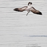 Ǯ��������Ÿ��׽�����