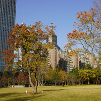 ��Ӱ����2511 ����԰����2