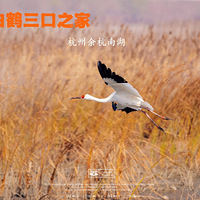 �ຼ�Ϻ��׺�����֮��