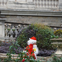 ׽סһ��ʥ�����ˣ�