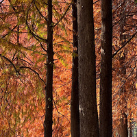 ���������й��¡���Զɽ�����ң�ǧ�ٴ�·��