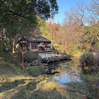 ����ֲ��԰һ����