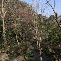 �й䷨ϲ���º����˹Ž�