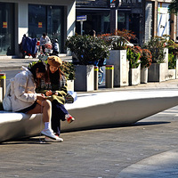 �������н�