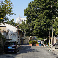 ��Ӱ����2512 ��ѩ�ּ�Ӱ