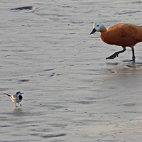 Ǯ�����ϳ���Ѽ����С���n�_