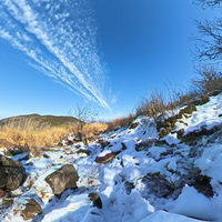 12.28ͯ����̤ѩ